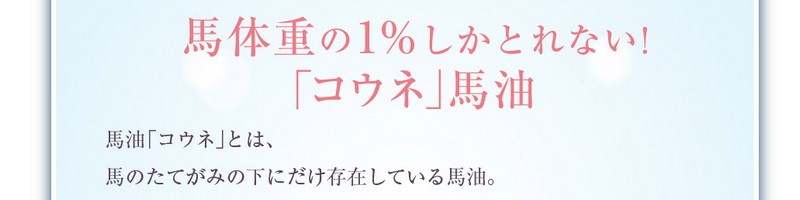 �R�E�l�X�L�j�[���[�V�������T�C�g